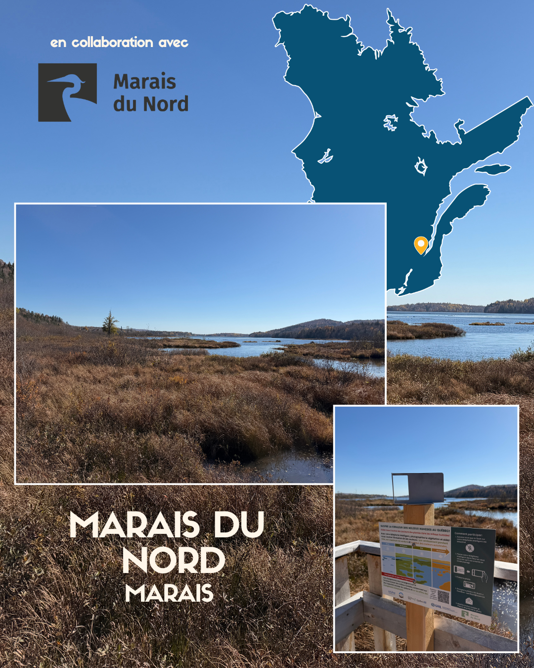Le projet dans les milieux humides du Québec — image 11