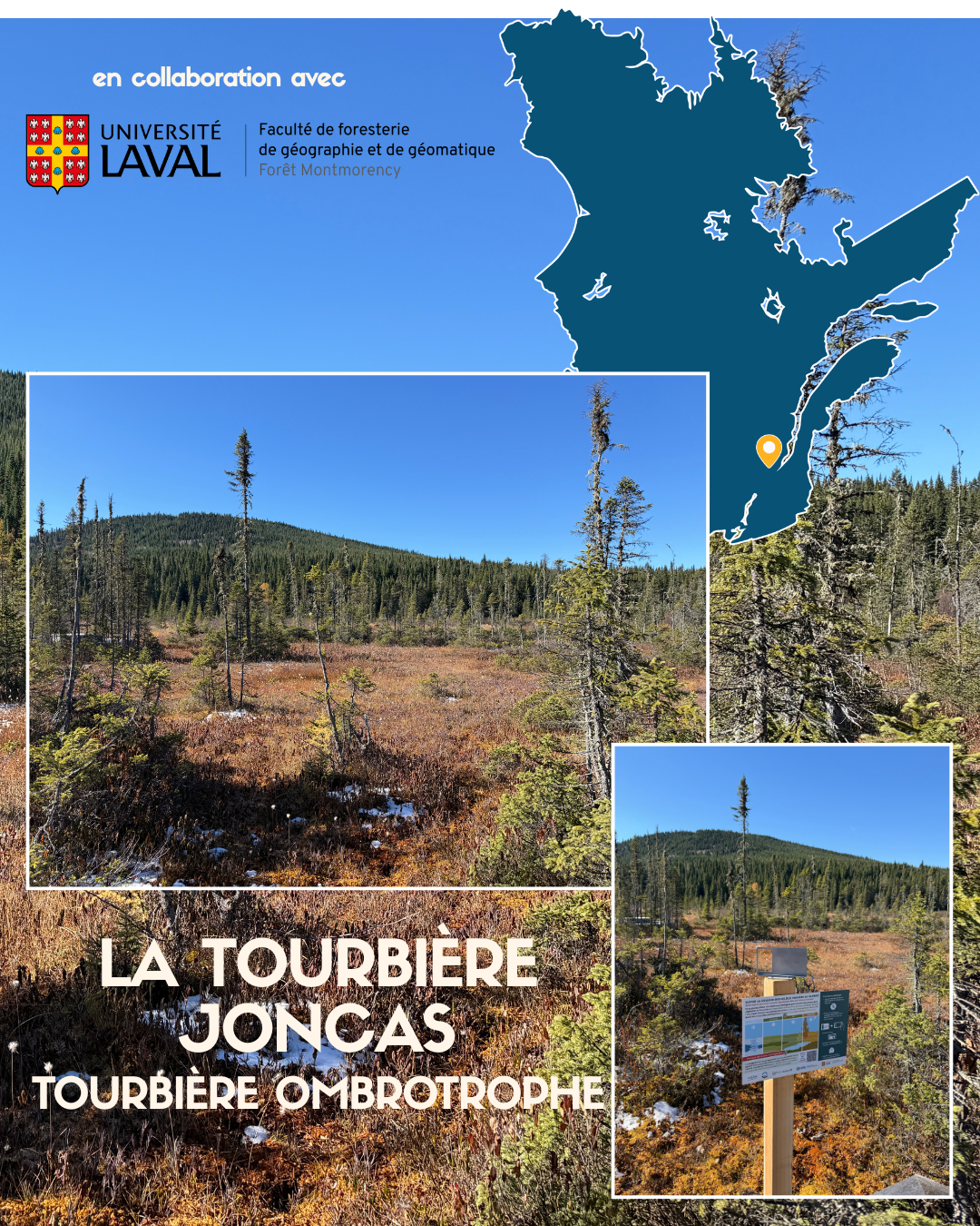 Le projet dans les milieux humides du Québec — image 12